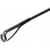 Favorite Black Swan BSWTS1-902EXH